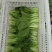 江苏精品油菜/上海青/产地直发/一手货源/价格优惠/欢迎采购