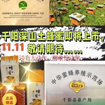 千阳高崖深山土蜂蜜