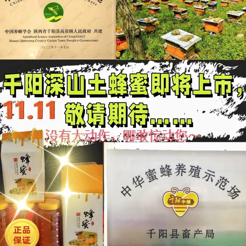 千阳高崖深山土蜂蜜