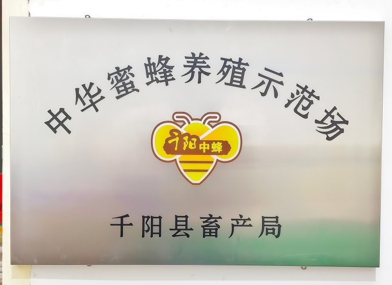 千阳高崖深山土蜂蜜