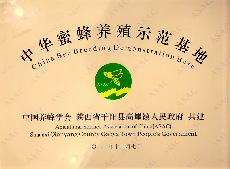 千阳高崖深山土蜂蜜