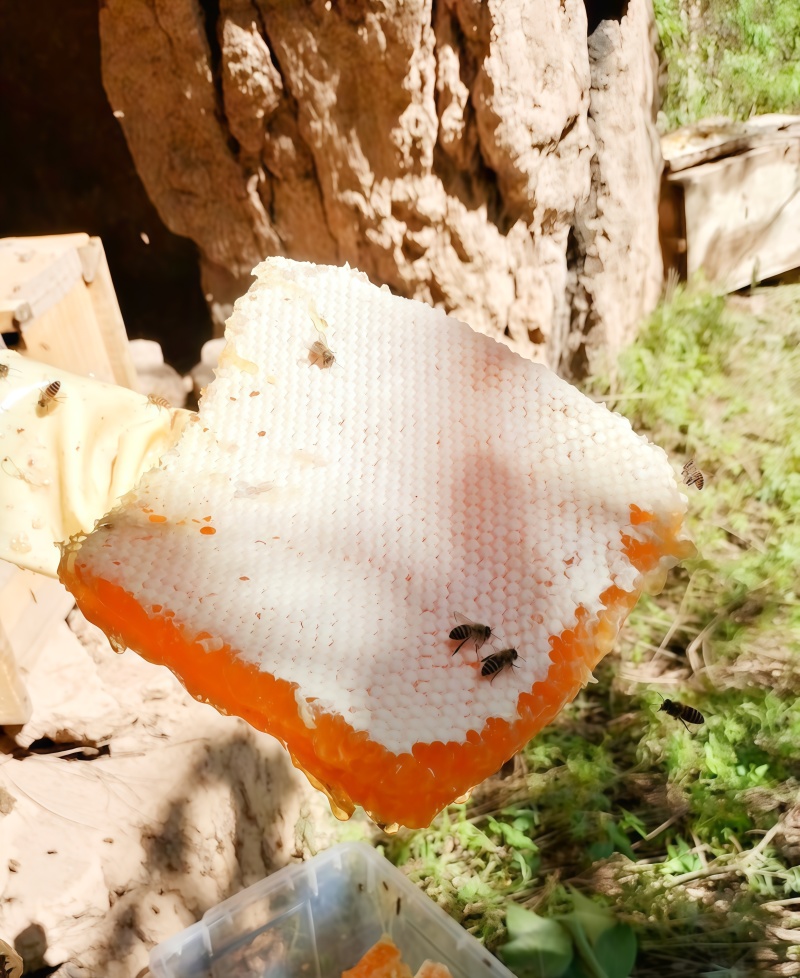 千阳高崖深山土蜂蜜