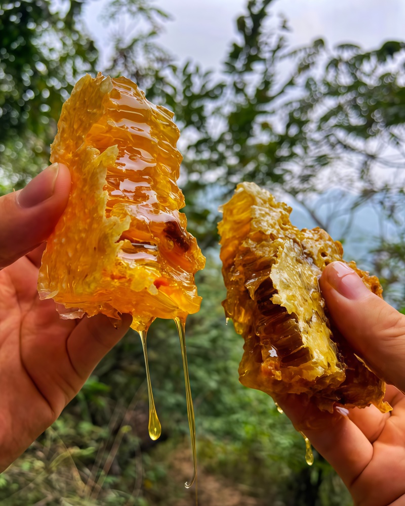 千阳高崖深山土蜂蜜
