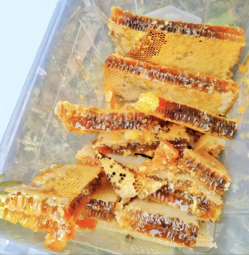 千阳高崖深山土蜂蜜