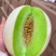 【海南玉菇甜瓜】玉菇甜瓜海量货源品质保证代发全国