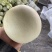 【海南玉菇甜瓜】玉菇甜瓜海量货源品质保证代发全国