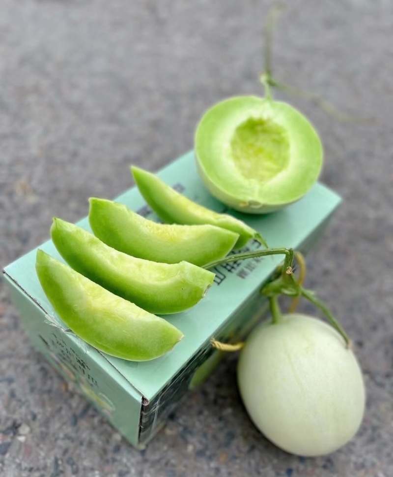 【海南玉菇甜瓜】玉菇甜瓜海量货源品质保证代发全国