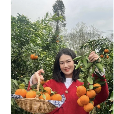(热卖)砂糖橘，纯甜无渣，皮薄多汁，优质好货，原产地直发