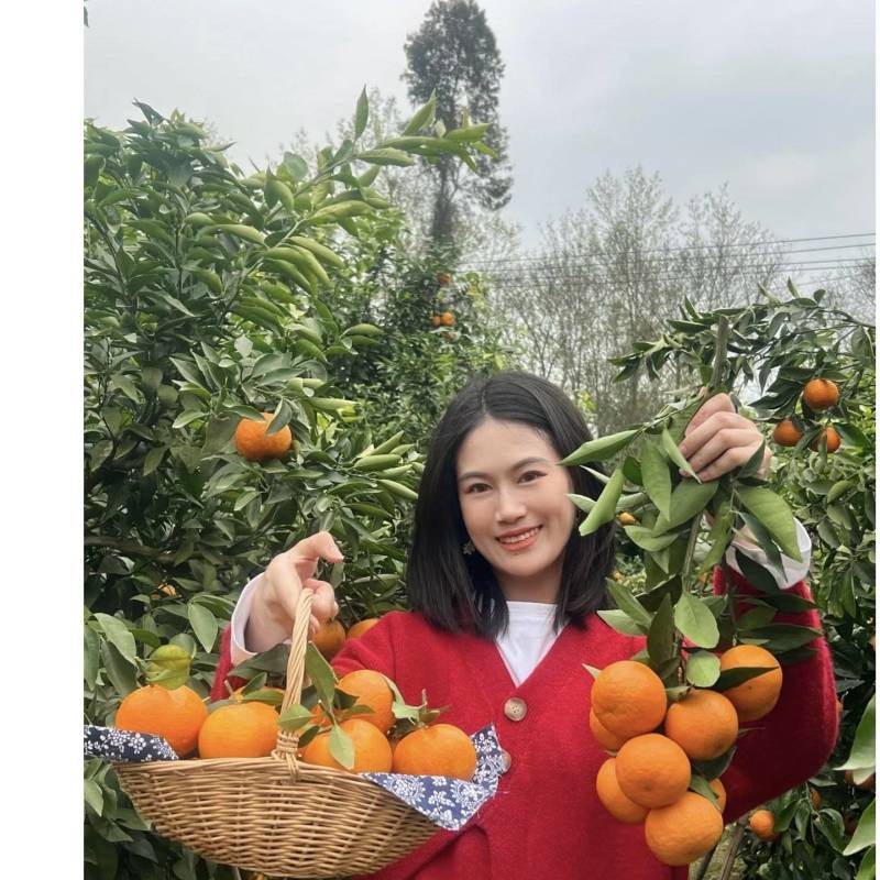 (热卖)砂糖橘，纯甜无渣，皮薄多汁，优质好货，原产地直发