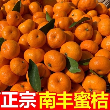 🔥江西南丰县-南丰蜜橘-大量现货-对接多多仓市场电商