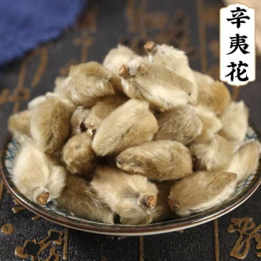 辛夷花茶中药材正品香料毛桃干辛夷泡茶泡水喝炎茶大辛夷花