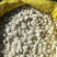 白芸豆大量有货基地直供品质优可视频看货欢迎咨询来电