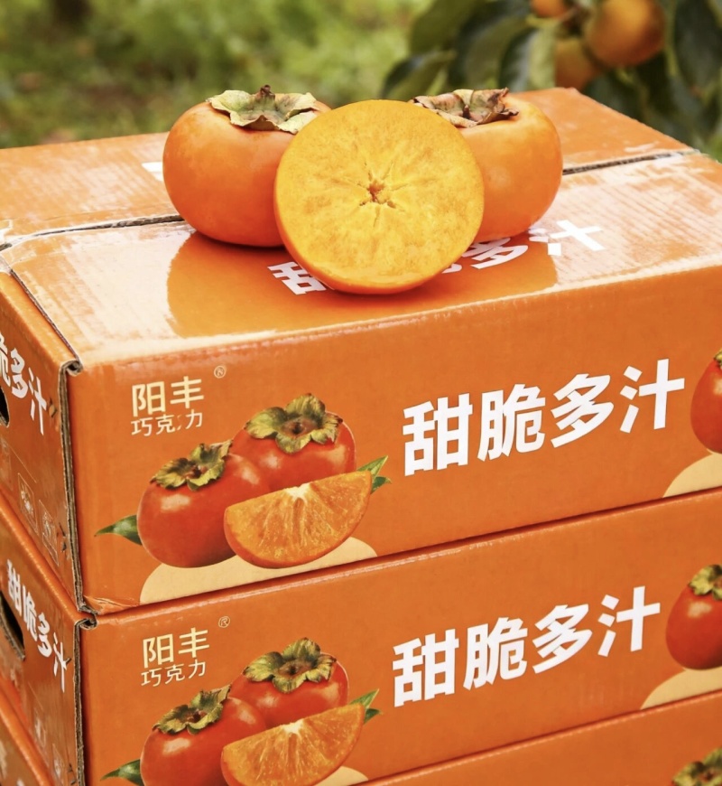 阳丰脆柿对接各大市场，大量上市，口感不错