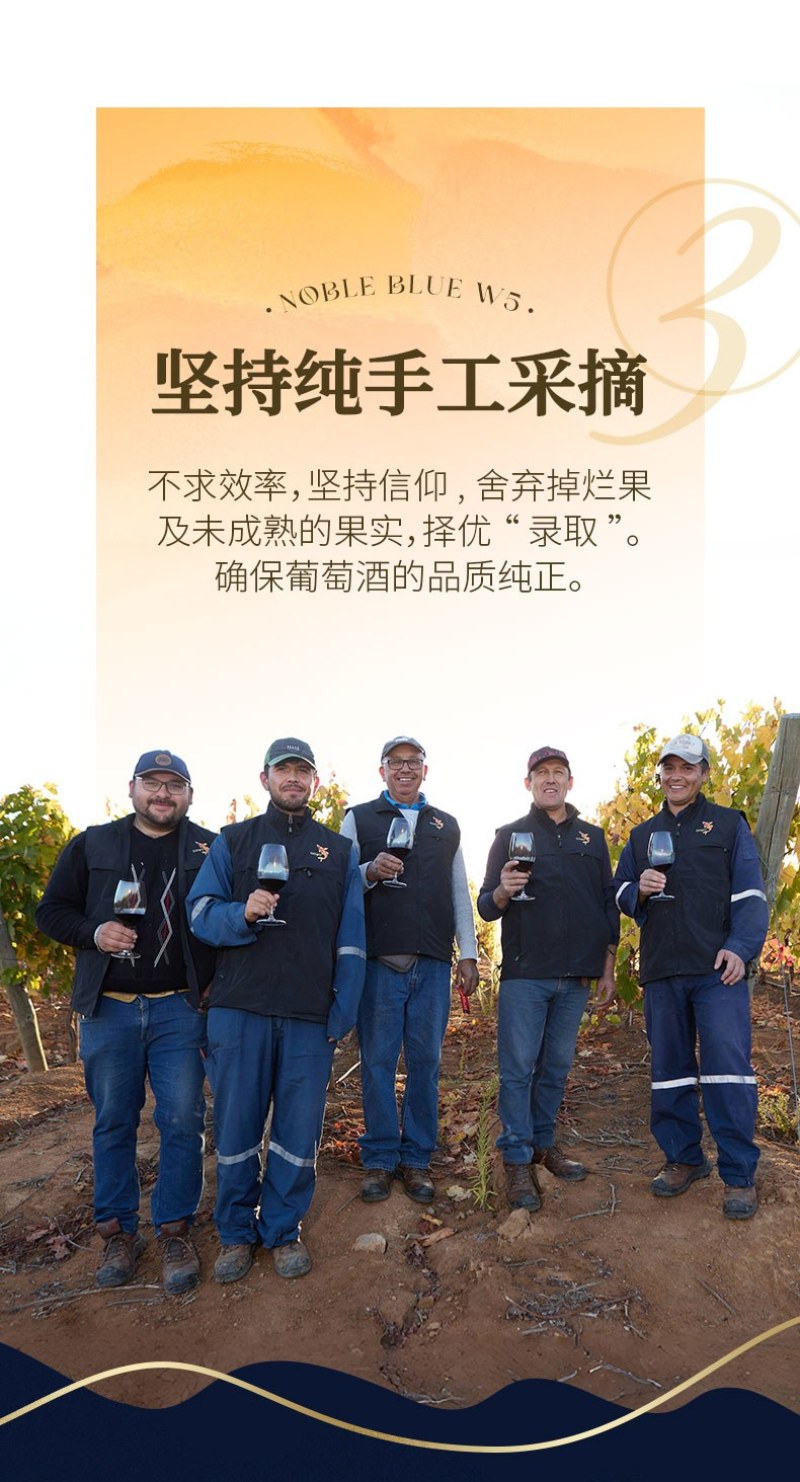 傲鱼aoyo尊蓝W5白葡萄酒750ml*6