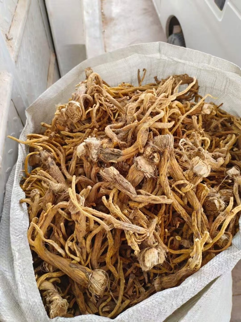 药材秦艽干货大量有货基地直供品质优可视频看货欢迎咨询来