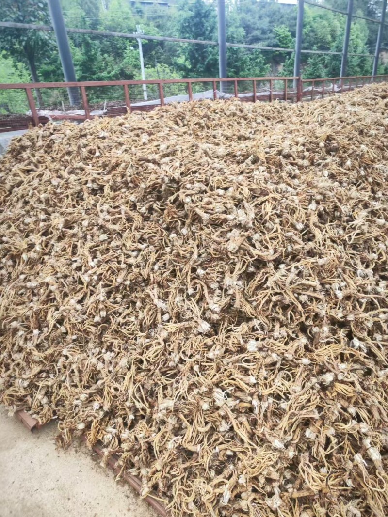 药材秦艽干货大量有货基地直供品质优可视频看货欢迎咨询来