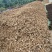 药材秦艽干货大量有货基地直供品质优可视频看货欢迎咨询来
