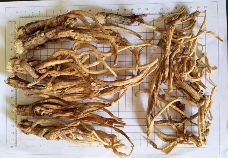 药材秦艽干货大量有货基地直供品质优可视频看货欢迎咨询来