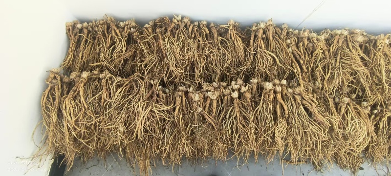药材秦艽干货大量有货基地直供品质优可视频看货欢迎咨询来
