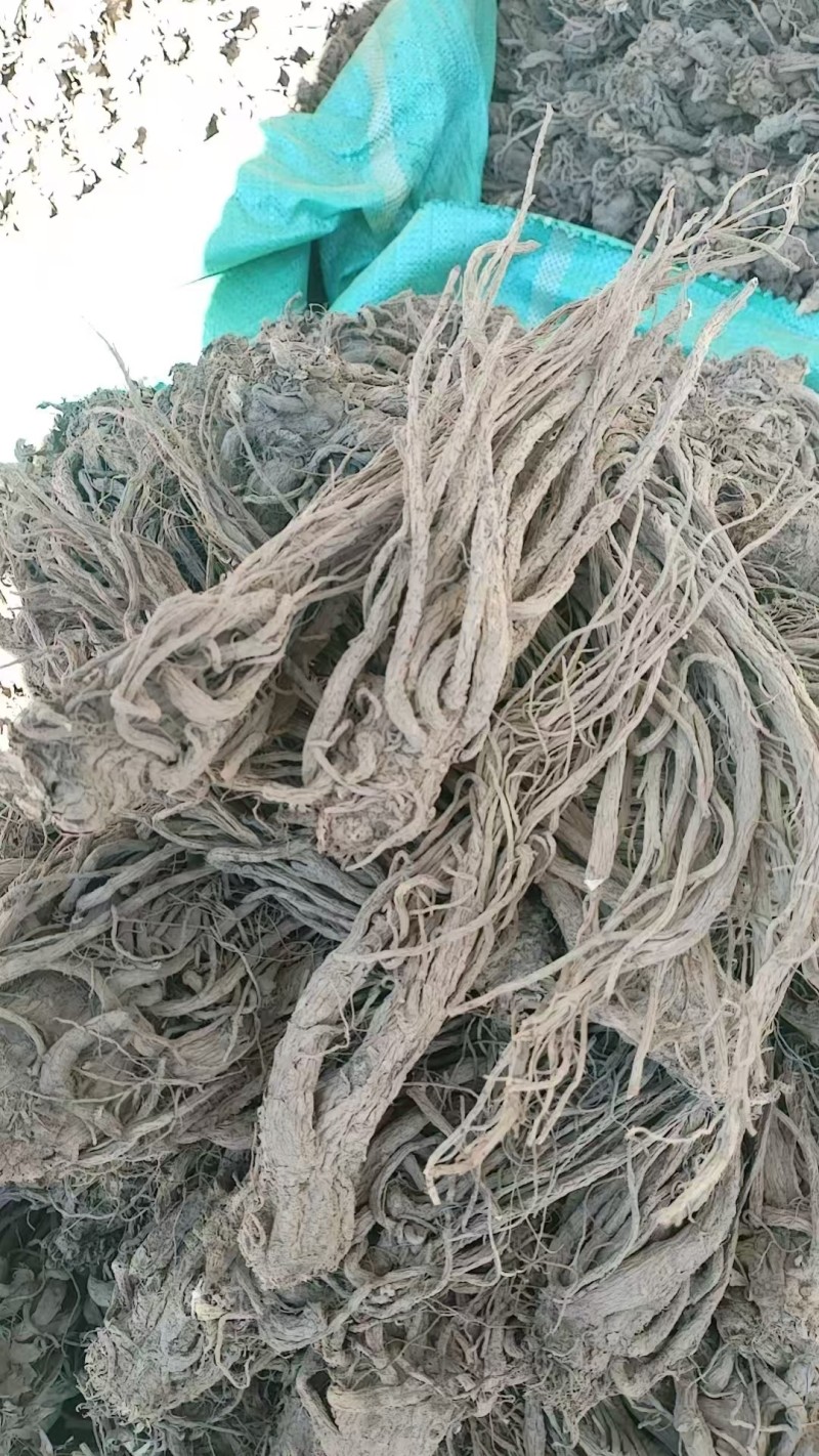 云当归药材大量有货基地直供品质优可视频看货欢迎咨询来电
