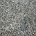 云木香种籽饱满出芽率高大量有货基地直供品质优可视频看货