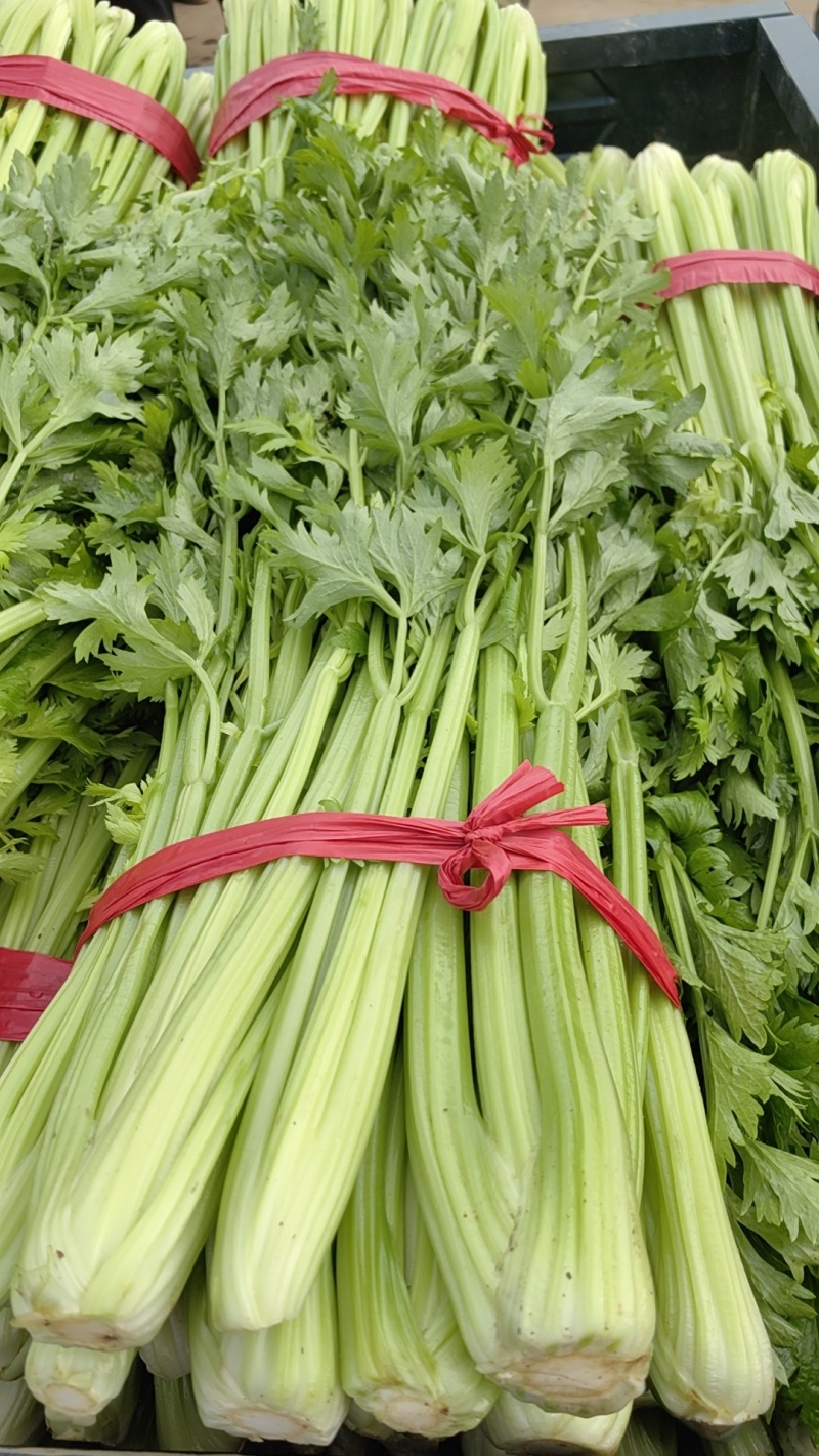 芹菜