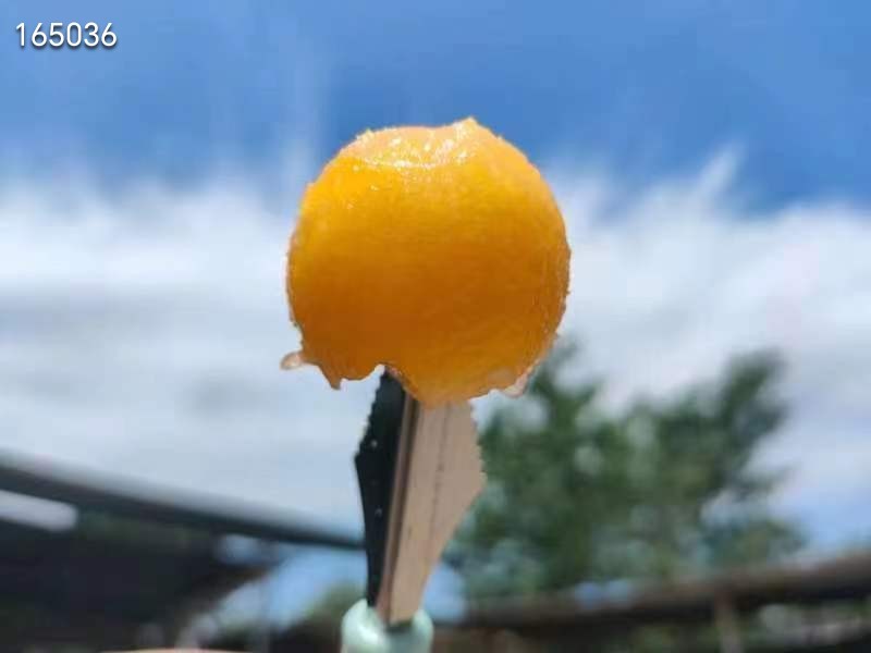 海南西州蜜哈密瓜