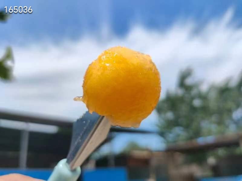 海南西州蜜哈密瓜