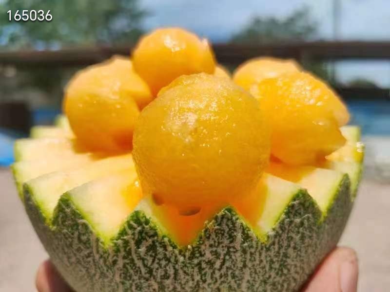 海南西州蜜哈密瓜