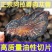 肉苁蓉野生阿拉善肉松蓉正品肉丛蓉片正宗泡茶泡酒肉枞蓉