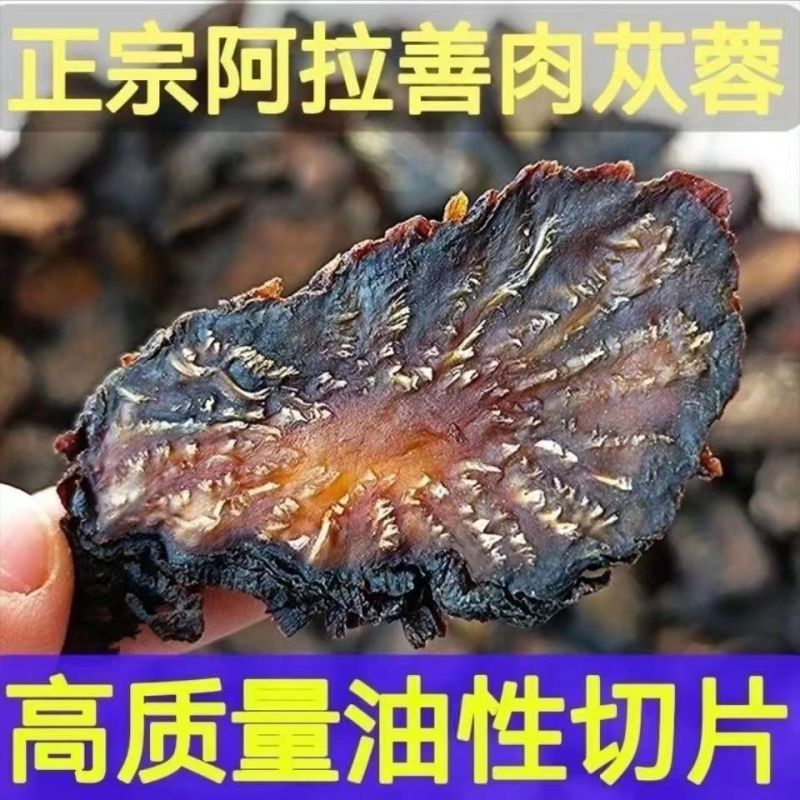 肉苁蓉野生阿拉善肉松蓉正品肉丛蓉片正宗泡茶泡酒肉枞蓉