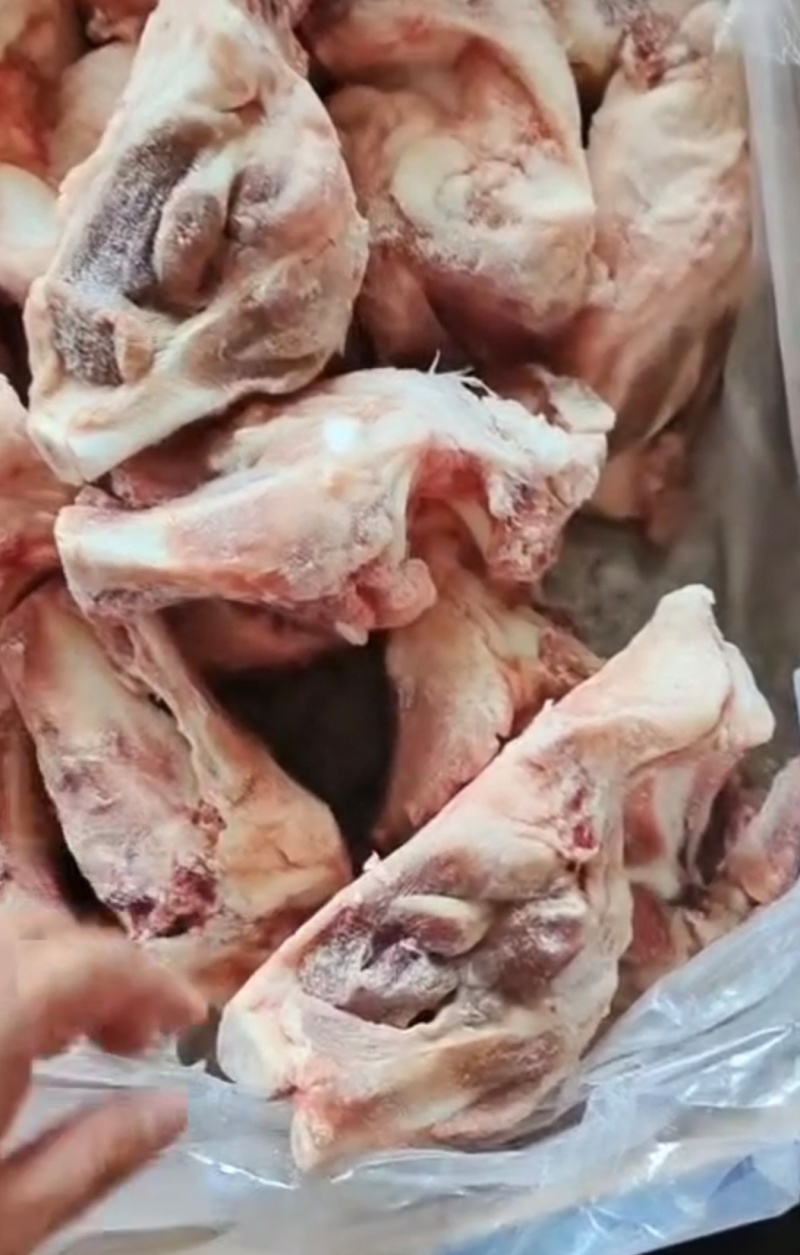 160后肘骨，猪后腿骨厂家直供品质保证支持批发零售