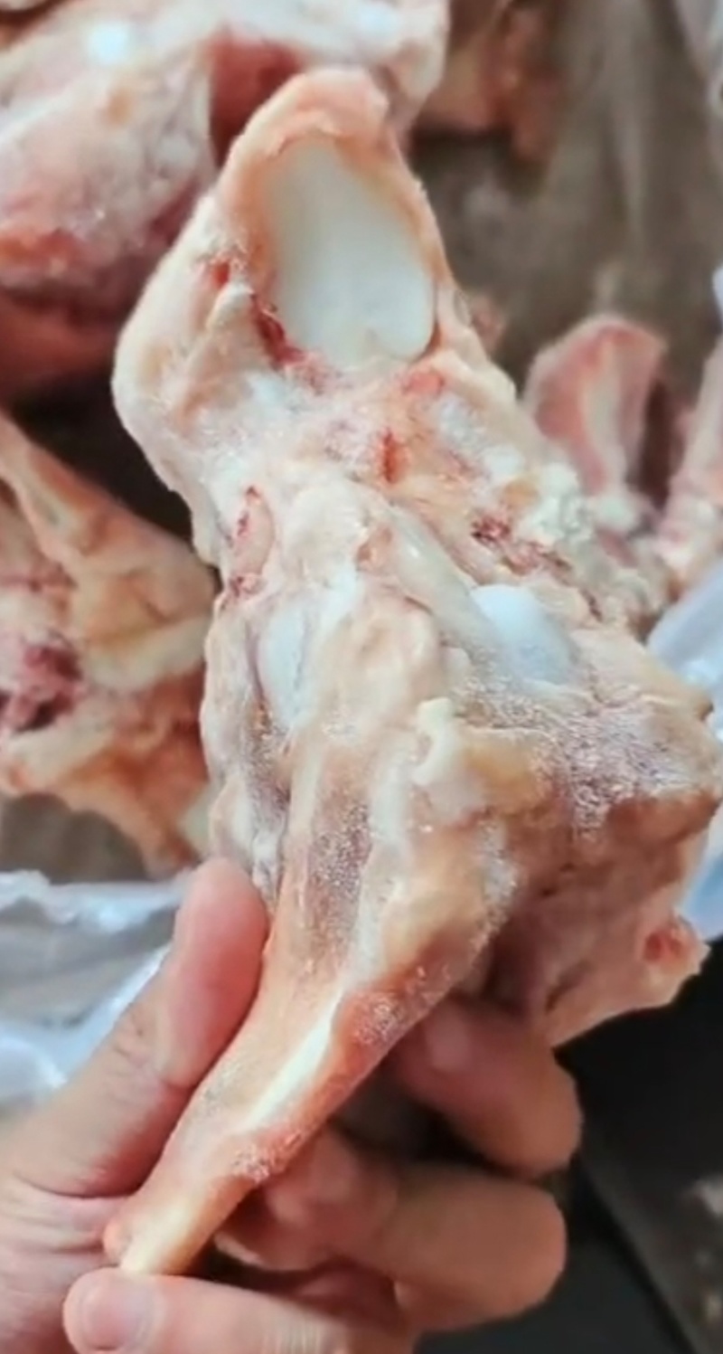 后肘骨，猪后腿骨货源充足量大从优欢迎联系咨询订购