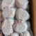 羊肚包肉厂家直供品质好大块羊肉粒货源充足供商超