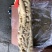 猪大肠干净无油大肠厂家直供量大从优品质保证联系