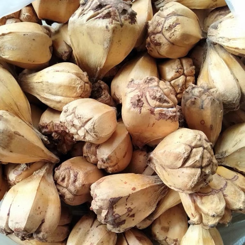 山菠萝野菠萝露兜树中药材批发一手货源2斤包邮