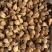 山菠萝野菠萝露兜树中药材批发一手货源2斤包邮