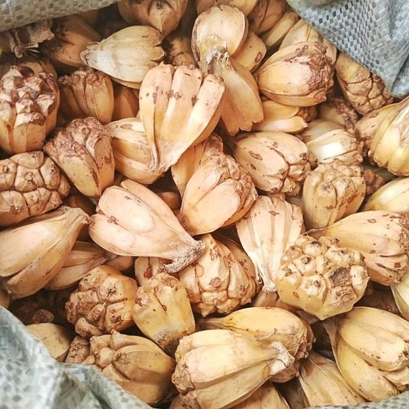 山菠萝野菠萝露兜树中药材批发一手货源2斤包邮