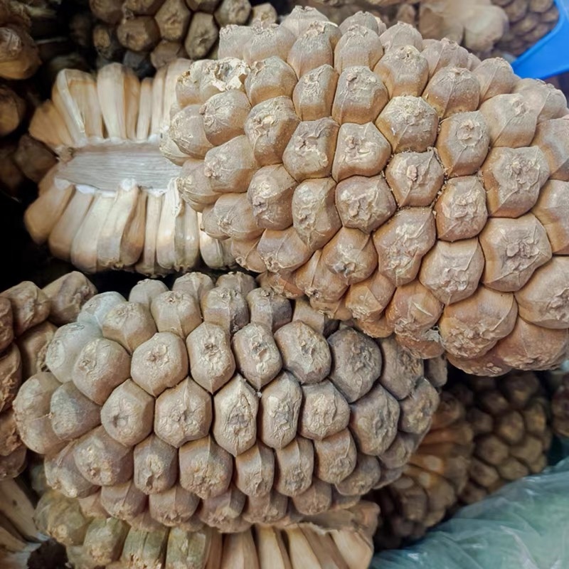 山菠萝野菠萝露兜树中药材批发一手货源2斤包邮