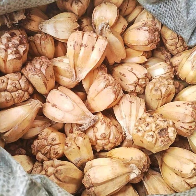 山菠萝野菠萝露兜树中药材批发一手货源2斤包邮