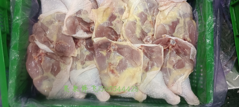 昊泉种母鸡排腿