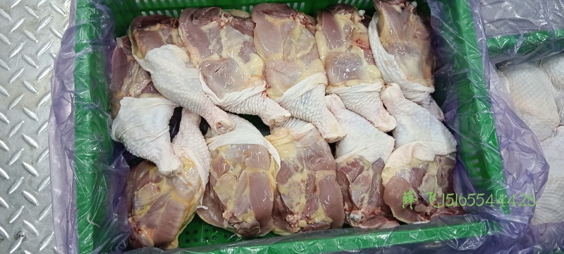 昊泉种母鸡排腿