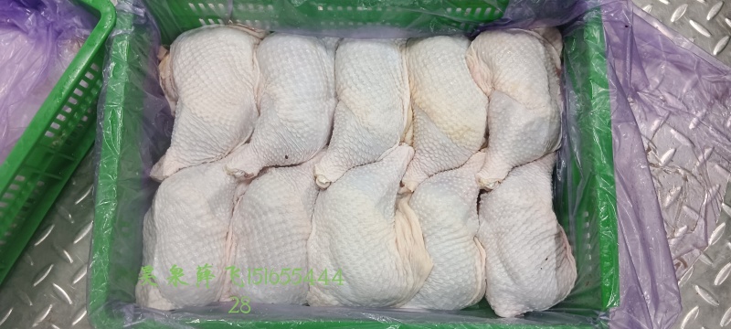 昊泉种母鸡排腿