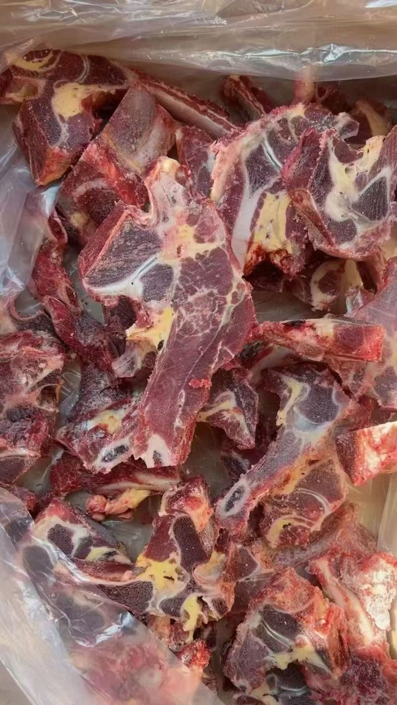 牛肩胛骨