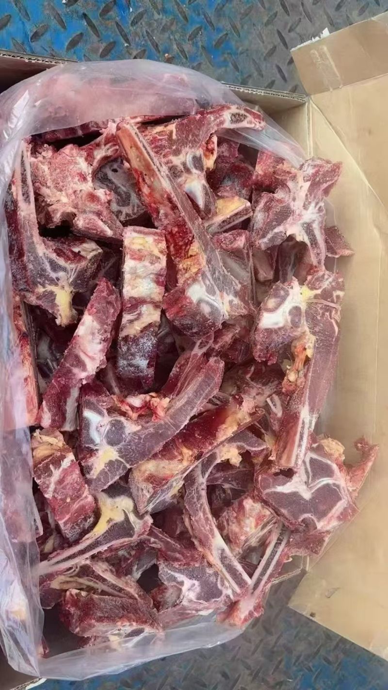 牛肩胛骨
