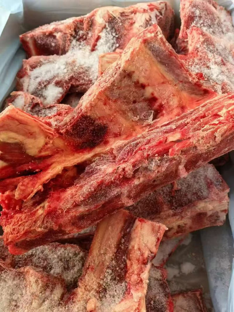 牛肩胛骨
