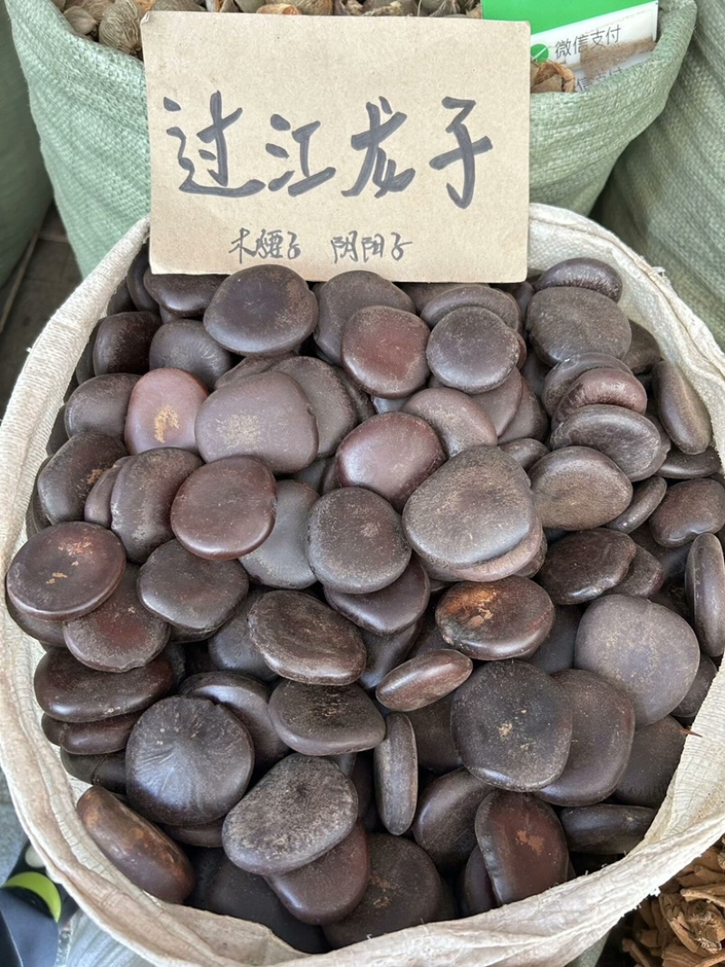 木腰子野生过江龙子阴阳子中药材泡茶泡酒料也可把玩