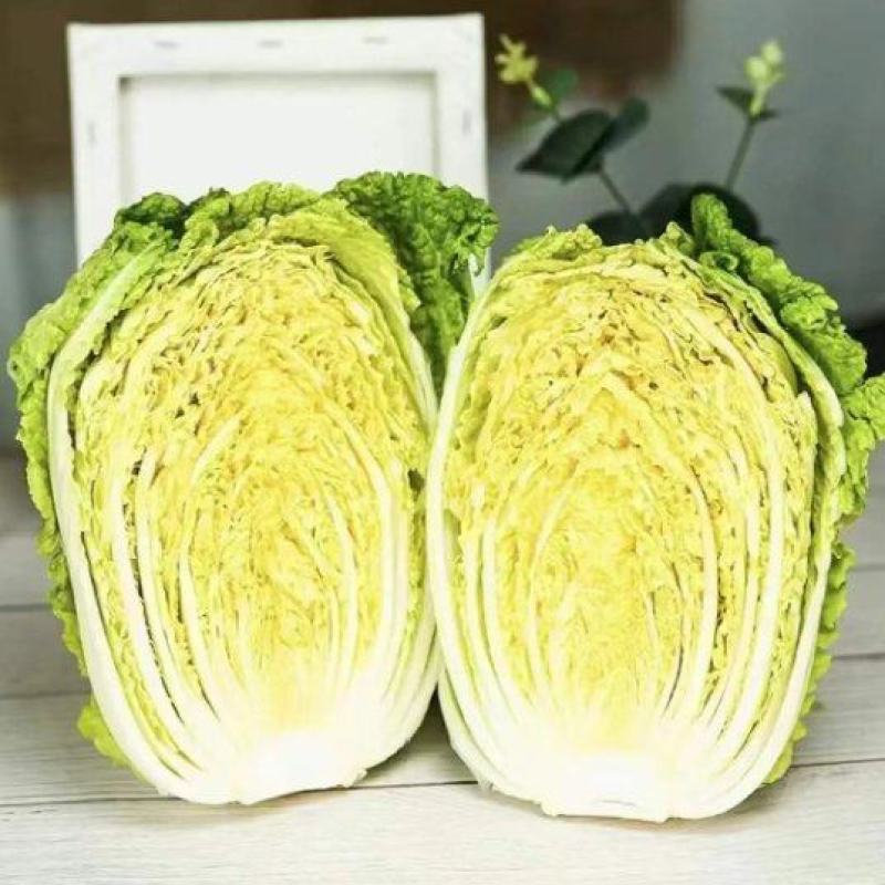 《精选》黄心白菜/基地直供/现砍现发/欢迎来电洽谈价优惠