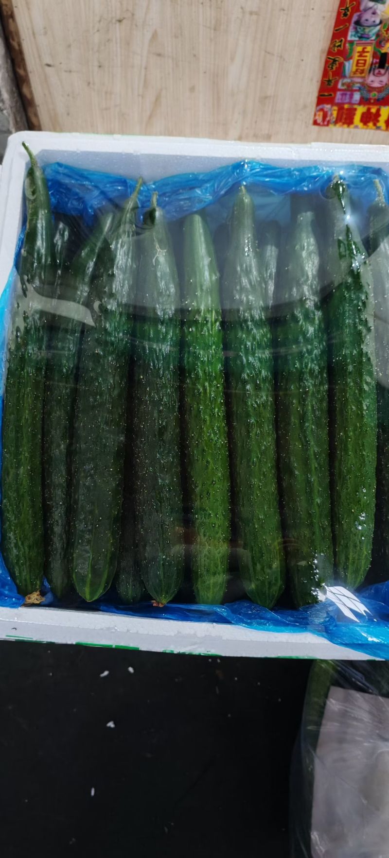 山东寿光产地精品皇瓜批发
