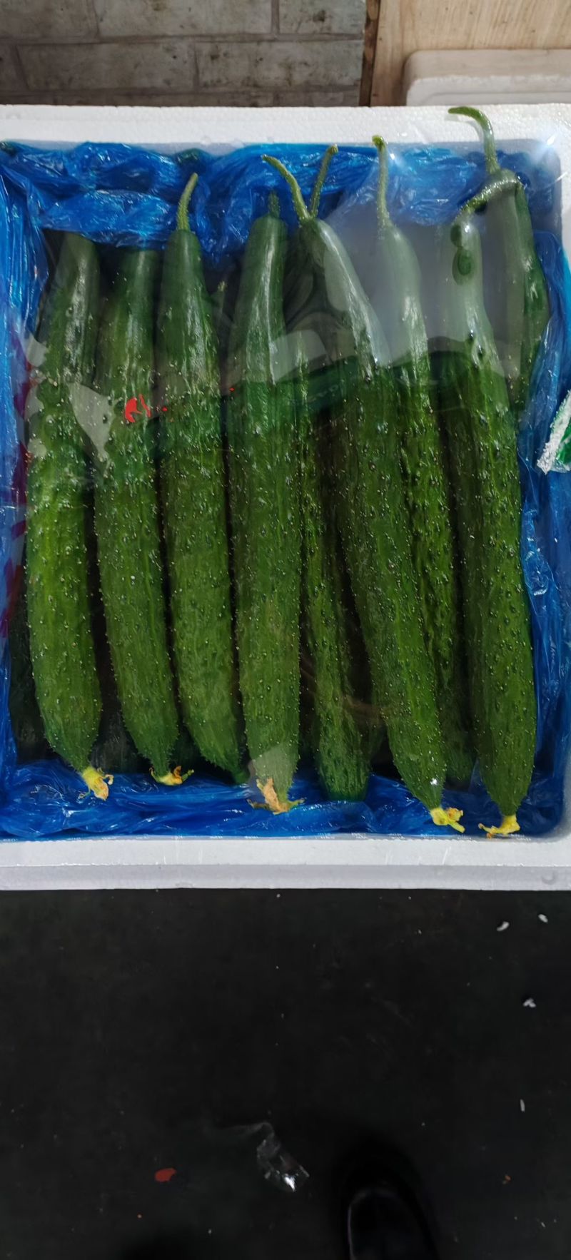 山东寿光产地精品皇瓜批发